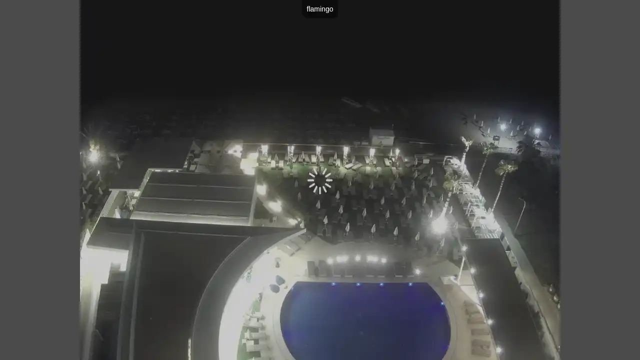 Ujęcie z kamery :city — 1 czerwca 2026 19:00