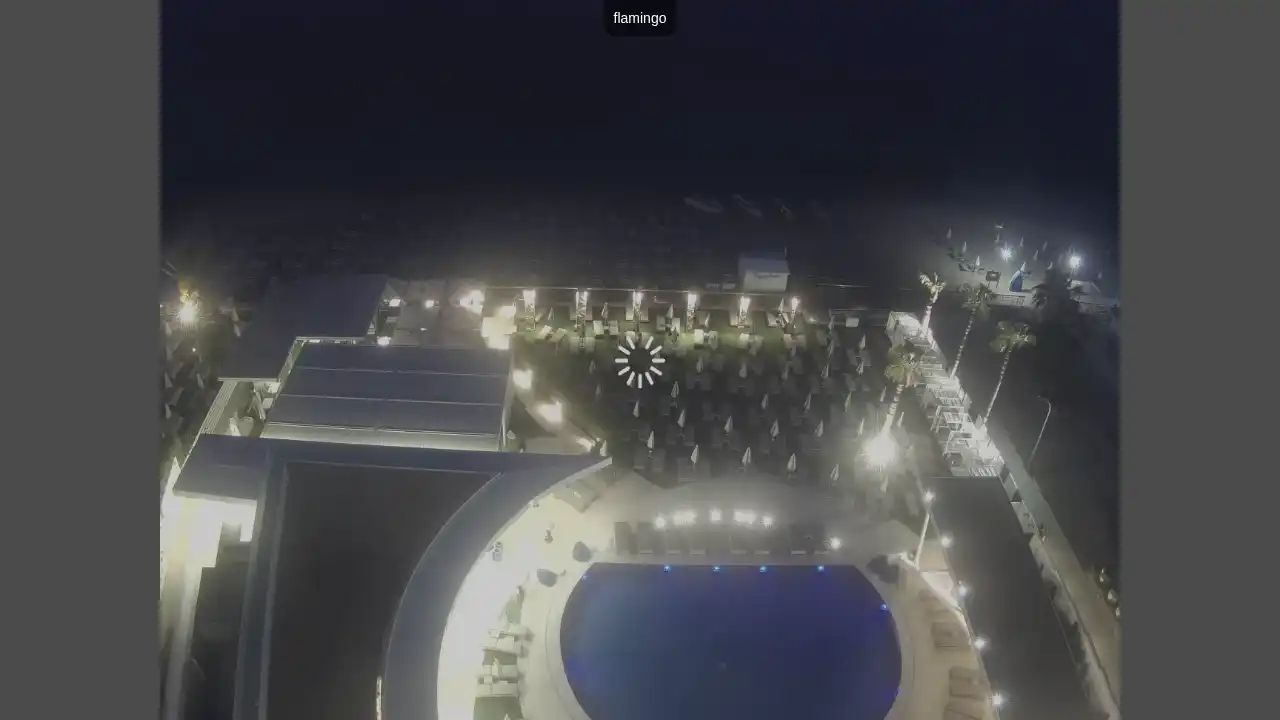Ujęcie z kamery :city — 8 czerwca 2026 18:00